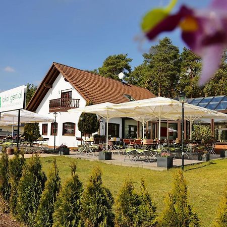 Lokal Genial Pension & Restaurant 贝利茨 外观 照片