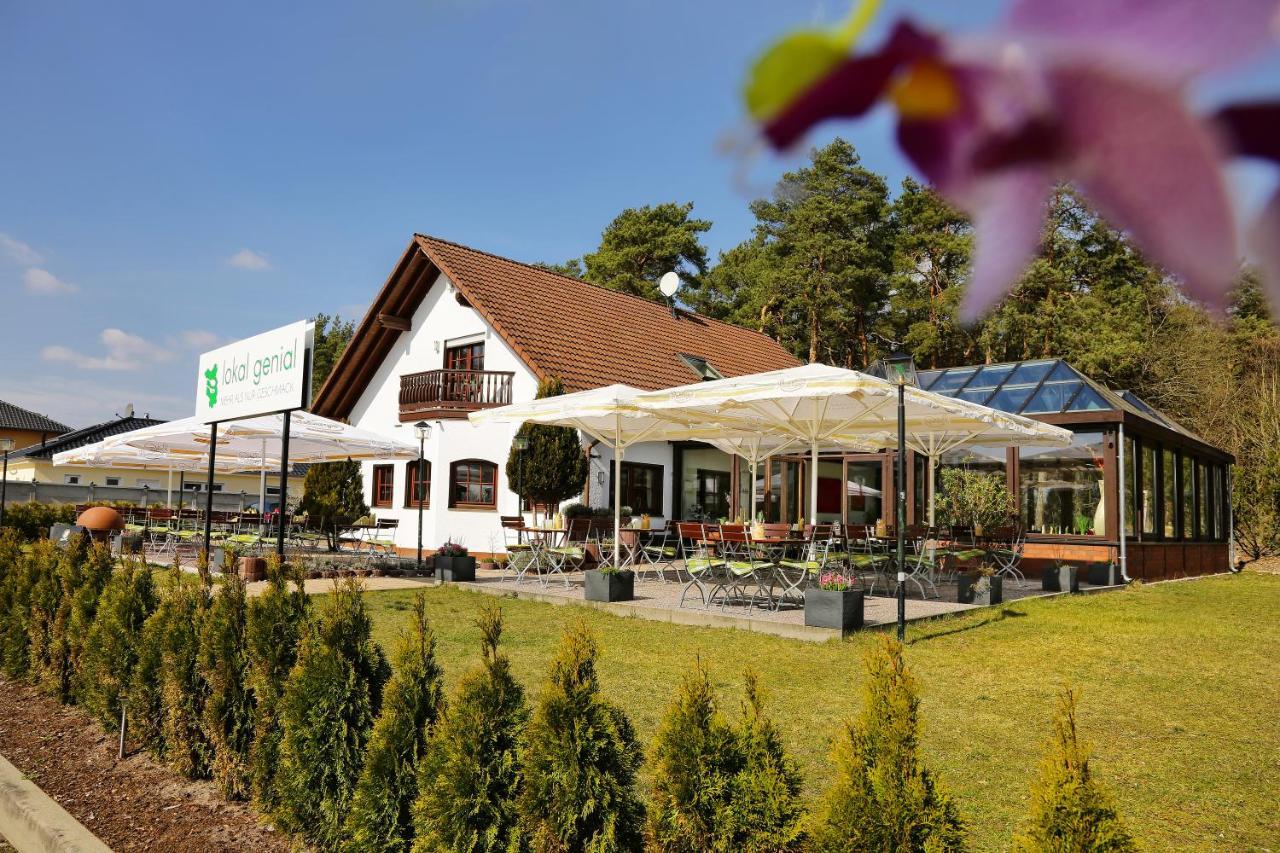 Lokal Genial Pension & Restaurant 贝利茨 外观 照片